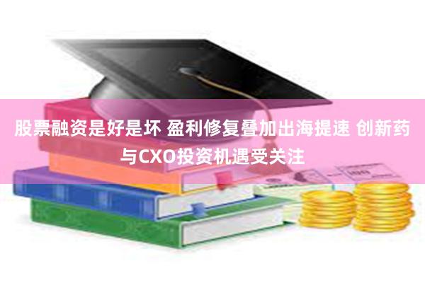 股票融资是好是坏 盈利修复叠加出海提速 创新药与CXO投资机遇受关注