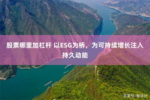 股票哪里加杠杆 以ESG为桥，为可持续增长注入持久动能