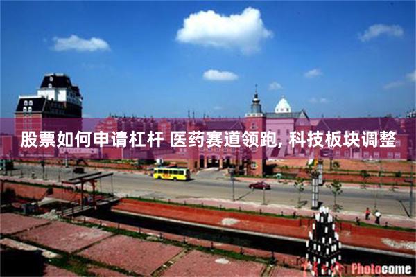股票如何申请杠杆 医药赛道领跑, 科技板块调整