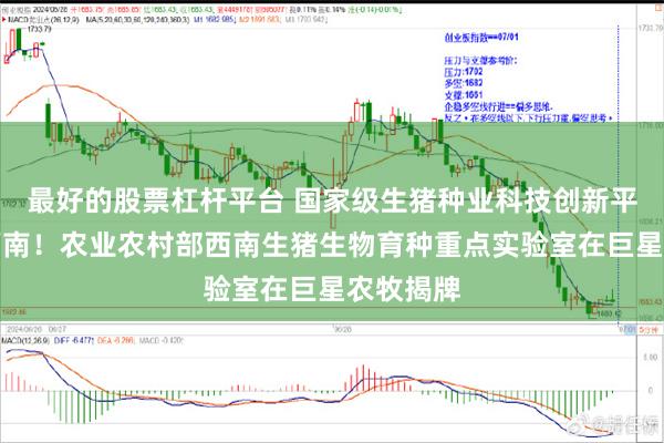 最好的股票杠杆平台 国家级生猪种业科技创新平台落子西南!农业农村部西南生猪生物育种重点实验室在巨星农牧揭牌